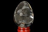 Septarian Dragon Egg Geode - Black Crystals #83189-1